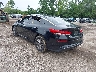 5XXGT4L38LG****** Salvamento y Reparables 2020 Kia Optima en Cleveland