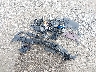 5XYPH4A53KG****** Wrecked 2019 Kia Sorento in Ohio State