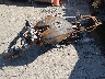 ZDM1RC3L0YB****** Wrecked 2000 Ducati M750 in Connecticut State