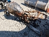 ZDM1RC3L0YB****** Salvage and Repairable 2000 Ducati M750 in Hartford