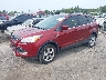 1FMCU0GXXEU****** Usados y Reparables 2014 Ford Escape en Culpeper