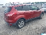 1FMCU0GXXEU****** Salvamento y Destrozados 2014 Ford Escape en Estado de Virginia