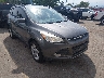 1FMCU0GX5DU****** Salvamento y Destrozados 2013 Ford Escape en Denver East