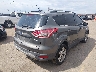 1FMCU0GX5DU****** Salvamento y Destrozados 2013 Ford Escape en Estado de Colorado