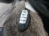 1N4AL3AP0DN****** Salvage 2013 Nissan Altima in North Carolina State