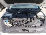 5NPE24AF7KH****** Reparables 2019 Hyundai Sonata en North Hollywood