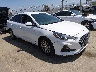 5NPE24AF7KH****** Salvamento y Destrozados 2019 Hyundai Sonata en North Hollywood