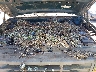 2FTEF14Y3RC****** Repairable 1994 Ford F-150 in East Bay
