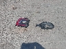 2HGFC3B30HH****** Wrecked 2017 Honda Civic in California State
