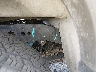 1N6ED1EK5PN****** Reparables 2023 Nissan Frontier