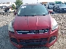 1FMCU9J91EU****** Salvamento y Reparables 2014 Ford Escape en Estado de Pennsylvania