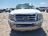 1FMJU1H51AE****** Salvamento y Reparables 2010 Ford Expedition en Estado de Texas