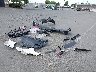 2FMPK4J95NB****** Salvamento y Destrozados 2022 Ford Edge en Estado de California