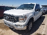 1FTFX1E50MF****** Usados y Reparables 2021 Ford F-150 en El Paso