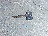 5TENL42N01Z****** Salvage 2001 Toyota Tacoma in Texas State
