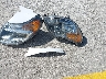 3C6TRVNG1GE****** Destrozados 2016 RAM Promaster 1500 en Estado de Texas