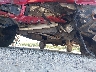 1FTEW1EP0MF****** Salvage and Wrecked 2021 Ford F-150 in West Palm Beach