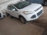 1FMCU0GX6EU****** Salvage and Wrecked 2014 Ford Escape in Minneapolis Saint Paul