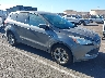 1FMCU0GX7EU****** Salvage and Wrecked 2014 Ford Escape in Honolulu