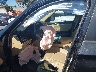 5UXWX9C52H0****** Salvage and Wrecked 2017 BMW X3 in Ace Carson