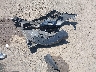 3MW49FS07R8****** Wrecked 2024 BMW M3 in California State