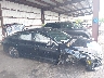 5XXG64J27RG****** Wrecked 2024 Kia K5 in Florida State