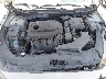 5NPE34AF5KH****** Repairable 2019 Hyundai Sonata in San Antonio South