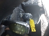 4T1BF1FK9HU****** Salvage 2017 Toyota Camry in Florida State