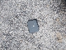 1FADP3E26HL****** Wrecked 2017 Ford Focus in Ohio State