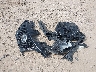 KNMAT2MV7KP****** Wrecked 2019 Nissan Rogue in Montana State