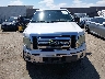 1FTEW1C82AF****** Salvage 2010 Ford F-150
