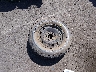 1FTEW1C82AF****** Wrecked 2010 Ford F-150 in California State