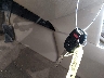 JHMCP26769C****** Salvage 2009 Honda Accord in Texas State