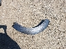 1FTEW1EG6GF****** Wrecked 2016 Ford F-150 in Massachusetts State
