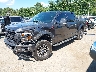 1FTEW1EG6GF****** Used and Repairable 2016 Ford F-150 in Templeton