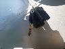 1FTWW31R69E****** Reparables 2009 Ford Super Duty F-350 en Long Island