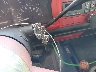 1GCEK14K8PZ****** Salvamento 1993 Chevrolet C/K en Estado de Florida