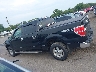 1FTFW1EF2DK****** Salvage 2013 Ford F-150