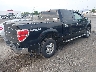 1FTFW1EF2DK****** Salvage and Wrecked 2013 Ford F-150 in Virginia State