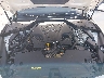 JN1EV7APXLM****** Repairable 2020 Infiniti Q50 in Tampa North