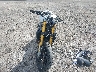 ZDM1RBSW9EB****** Used and Repairable 2014 Ducati Monster in Michigan State