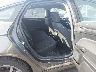 3FA6P0G73HR****** Destrozados 2017 Ford Fusion en Nashville