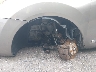 JN8AS5MV4CW****** Salvage and Repairable 2012 Nissan Rogue in Maryland State