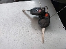 1FADP3K20DL****** Salvamento 2013 Ford Focus en Estado de Utah