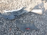 JN1CA31D2YT****** Wrecked 2000 Nissan Maxima in South Carolina State
