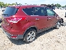 1FMCU0GXXGU****** Salvage and Wrecked 2016 Ford Escape in Tennessee State