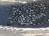 KMHCM36C29U****** Usados 2009 Hyundai Accent en Long Island