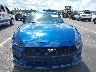 1FA6P8TH1R5****** Wrecked 2024 Ford Mustang in Florida State