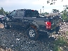 1FTEW1CF7FK****** Salvamento y Reparables 2015 Ford F-150 en Atlanta South