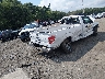1FTMF1CMXDK****** Salvamento y Destrozados 2013 Ford F-150 en Estado de Massachusetts